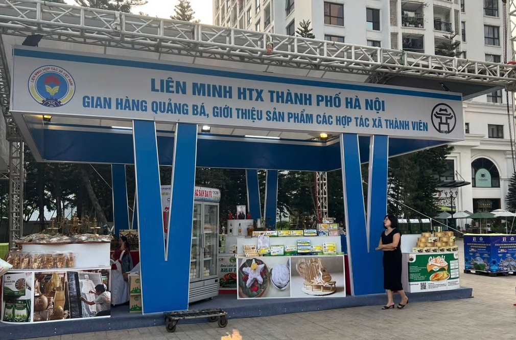 Đẩy mạnh chuyển đổi số và xúc tiến thương mại bền vững.