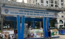 VnBusiness