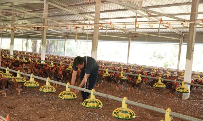Ưu đãi thuế mở lối, tuân thủ pháp lý giữ đường cho HTX vươn xa