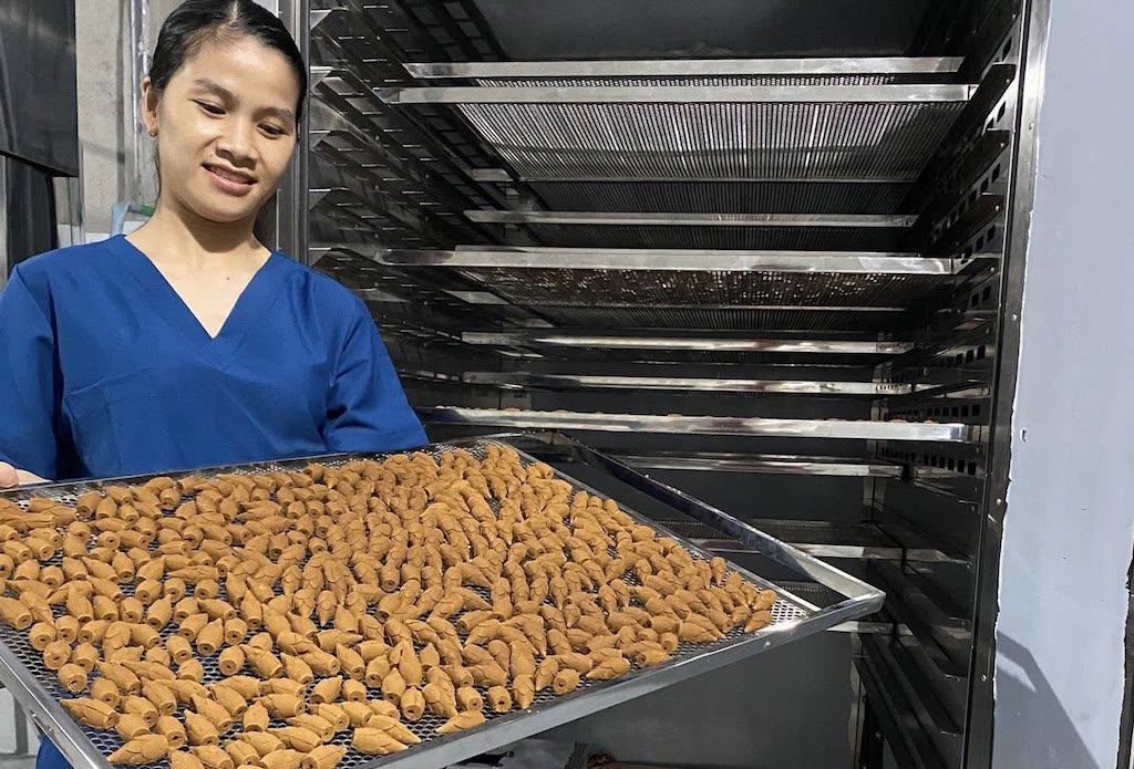 Đầu tư chế biến sâu, phát triển sản phẩm OCOP và chú trọng bảo hộ tài sản trí tuệ giúp HTX Quế Trà My Minh Phúc gia tăng giá trị cây quế, mở rộng thị trường tiêu thụ.