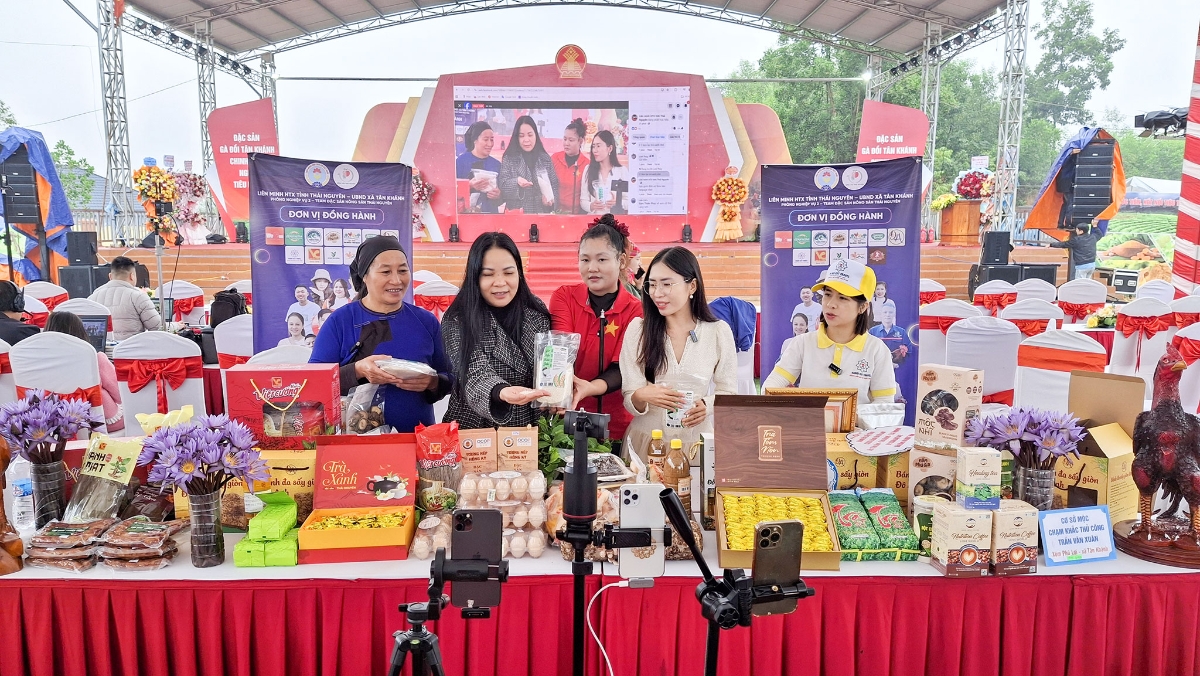 Các HTX hiện nay đang tập trung chuyển đổi số nhằm đổi mới phương thức quản trị, tối ưu hóa quy trình sản xuất và mở rộng thị trường tiêu thụ.