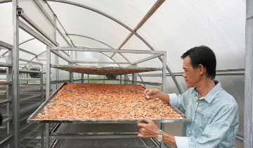 HTX ở Cà Mau dùng tài sản trí tuệ nâng giá trị tôm sú