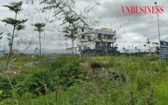 Đất bỏ hoang có thể bị đánh thuế, giới đầu cơ có lo?