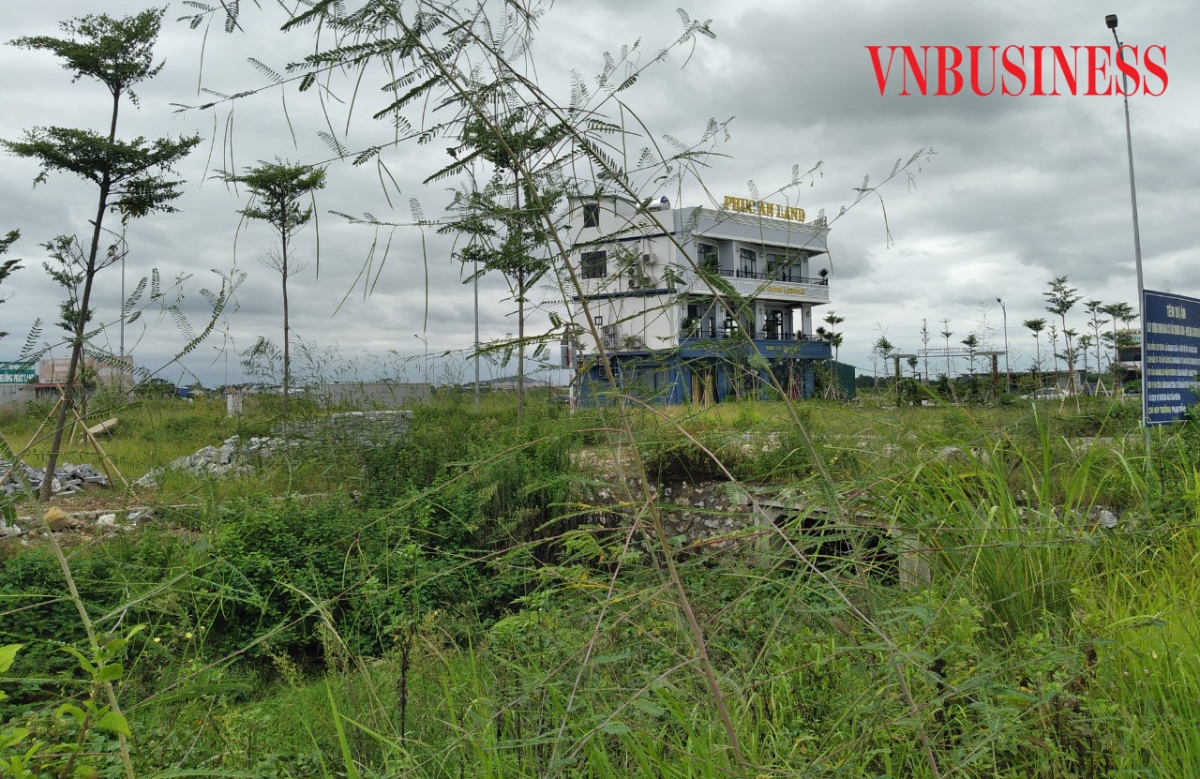 Đất bỏ hoang đang bị đề xuất đánh thuế nhằm siết hoạt động đầu cơ (Ảnh minh họa).
