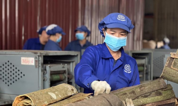 EVFTA bước sang năm thứ 7: Thuế giảm, doanh nghiệp thay đổi cuộc chơi
