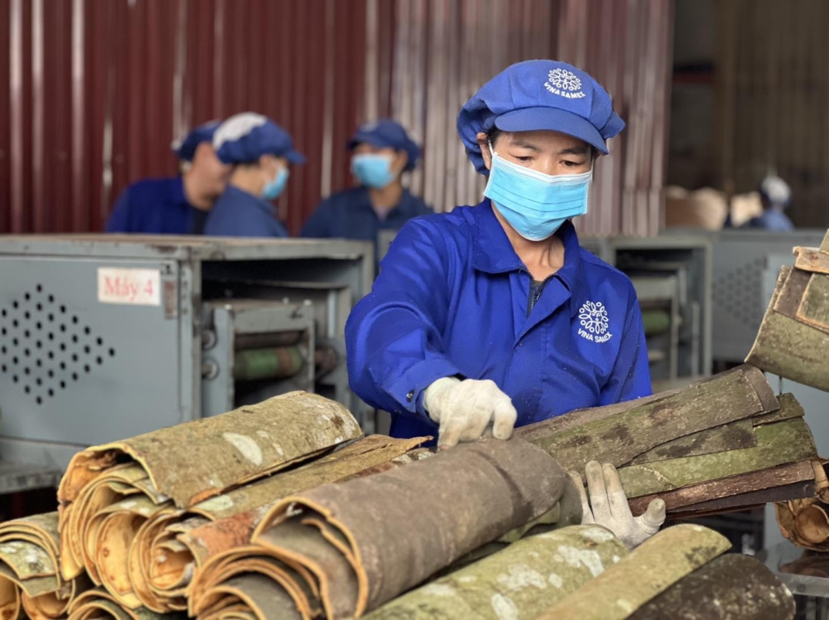 Công nhân làm việc tại nhà máy của Vinasamex tại Yên Bái.