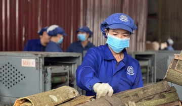 EVFTA bước sang năm thứ 7: Thuế giảm, doanh nghiệp thay đổi cuộc chơi