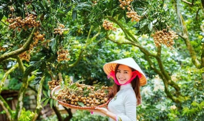 Khai thác tài sản trí tuệ: Từ