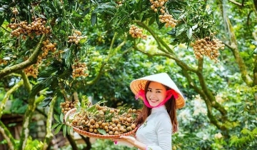 Khai thác tài sản trí tuệ: Từ