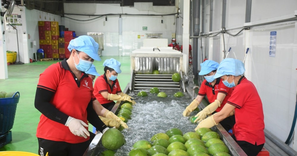 Nông sản Việt Nam mở rộng thị trường Australia