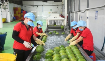 Nông sản, thực phẩm Việt rộng cửa tại thị trường Australia