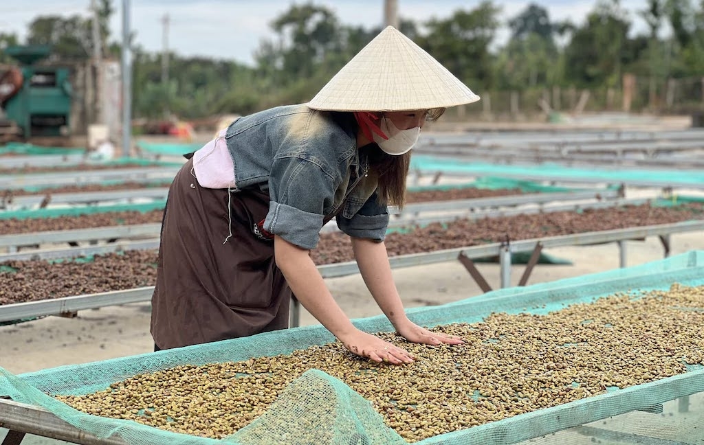 Các HTX ở Đắk Lắk đang từng bước chuẩn hóa sản xuất, truy xuất nguồn gốc và xây dựng thương hiệu, tạo nền tảng nâng giá trị và bảo vệ tài sản sở hữu trí tuệ.