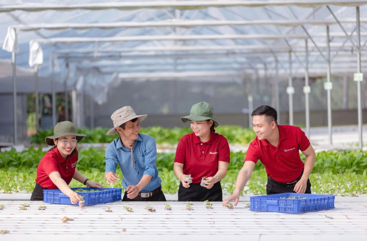 Agribank tiên phong triển khai chương trình tín dụng ưu đãi 70.000 tỷ đồng hướng đến các động lực tăng trưởng kinh tế và doanh nghiệp nhỏ và vừa