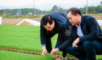 Xử lý giống cây trồng và sản phẩm OCOP nhái: Cần