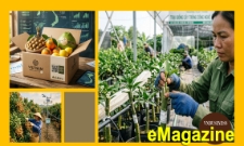 Từ bỏ mục tiêu làm ra nhiều, HTX chuyển hướng làm cái thị trường cần