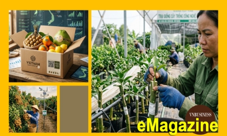 Từ bỏ mục tiêu làm ra nhiều, HTX chuyển hướng làm cái thị trường cần