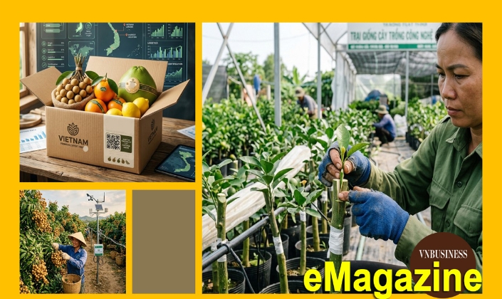 Từ bỏ mục tiêu làm ra nhiều, HTX chuyển hướng làm cái thị trường cần