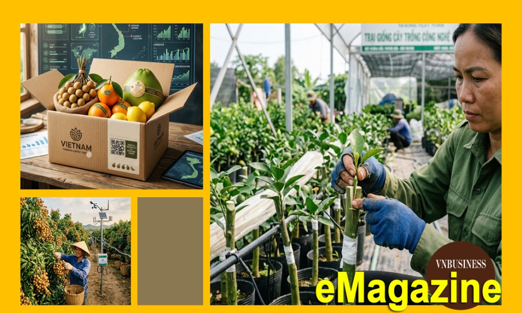Từ bỏ mục tiêu làm ra nhiều, HTX chuyển hướng làm cái thị trường cần