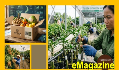Từ bỏ mục tiêu làm ra nhiều, HTX chuyển hướng làm cái thị trường cần