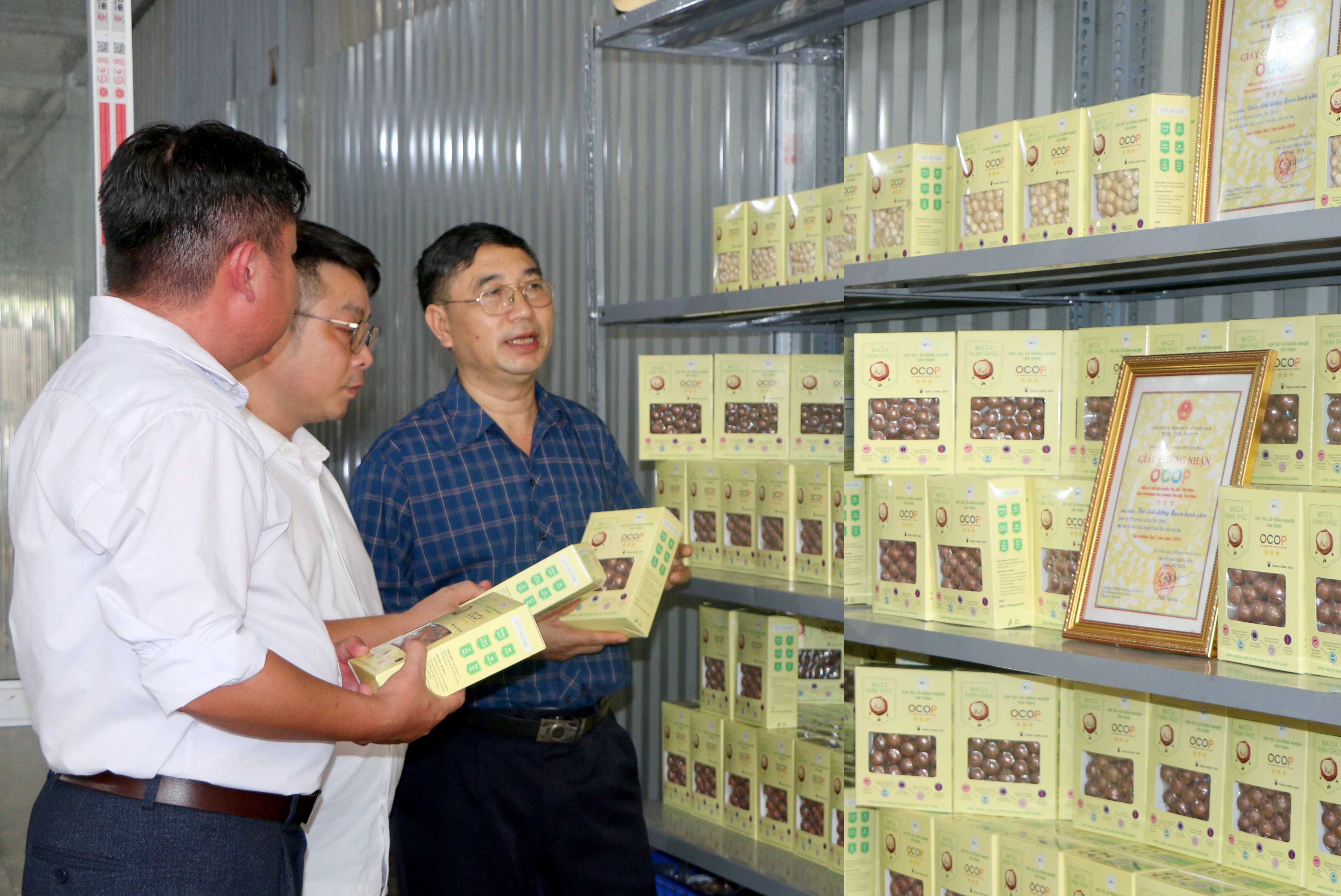 Cận cảnh hạt mắc ca và dây chuyền đóng gói tự động
