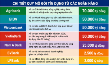Gói tín dụng ưu đãi với tổng quy mô công bố bước đầu đã vượt ngưỡng 250.000 tỷ đồng.