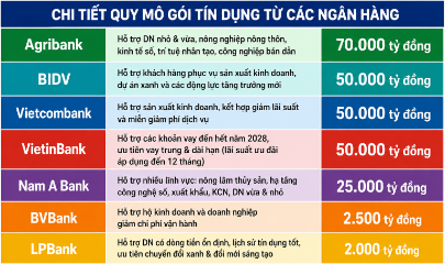 Gói tín dụng ưu đãi với tổng quy mô công bố bước đầu đã vượt ngưỡng 250.000 tỷ đồng.