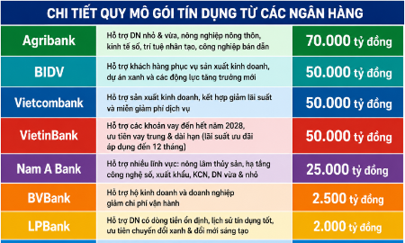 Gói tín dụng ưu đãi với tổng quy mô công bố bước đầu đã vượt ngưỡng 250.000 tỷ đồng.