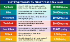 Gói tín dụng ưu đãi với tổng quy mô công bố bước đầu đã vượt ngưỡng 250.000 tỷ đồng.