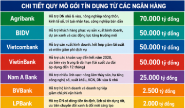 “Mưa” tín dụng ưu đãi hơn 250.000 tỷ, doanh nghiệp nhỏ và vừa có thể vay ngân hàng nào?