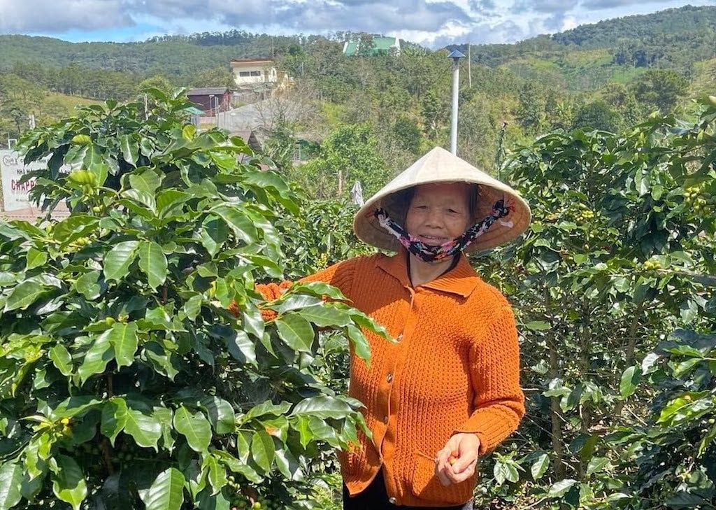 Thành viên các HTX liên kết sản xuất theo hướng hữu cơ, góp phần kiểm soát chất lượng, bảo vệ quyền sở hữu trí tuệ và nâng giá trị nông sản Tân Hà Lâm Hà.