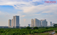 Phía sau những gam màu sáng trên thị trường địa ốc