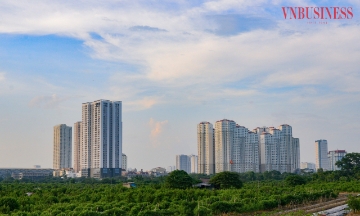 Phía sau những gam màu sáng trên thị trường địa ốc