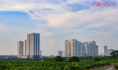 Phía sau những gam màu sáng trên thị trường địa ốc