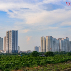 Phía sau những gam màu sáng trên thị trường địa ốc