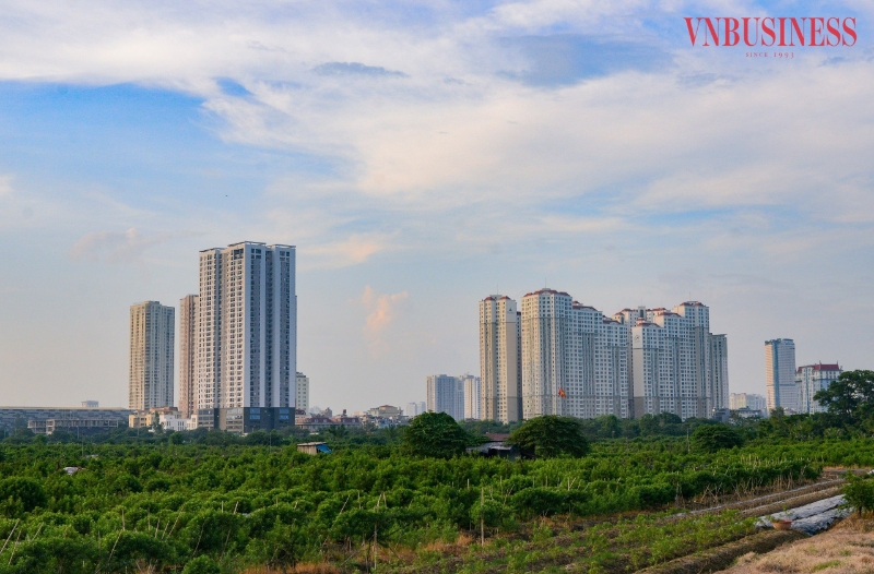 Phía sau những 'gam màu sáng' trên thị trường địa ốc