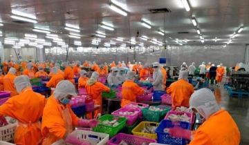 Lãnh đạo Nam Việt mua 1 triệu cổ phiếu ANV sau nhịp giảm hơn 40%
