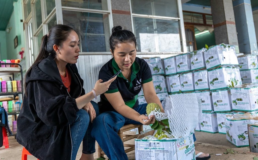 HTX Dịch vụ Nông nghiệp Minh Trung ứng dụng nhật ký điện tử, mã QR truy xuất nguồn gốc, từng bước tạo dựng và bảo vệ giá trị tài sản trí tuệ cho sản phẩm mãng cầu.