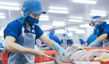 Gỡ “vòng siết kép”, giữ đường xuất khẩu cho thủy sản Việt
