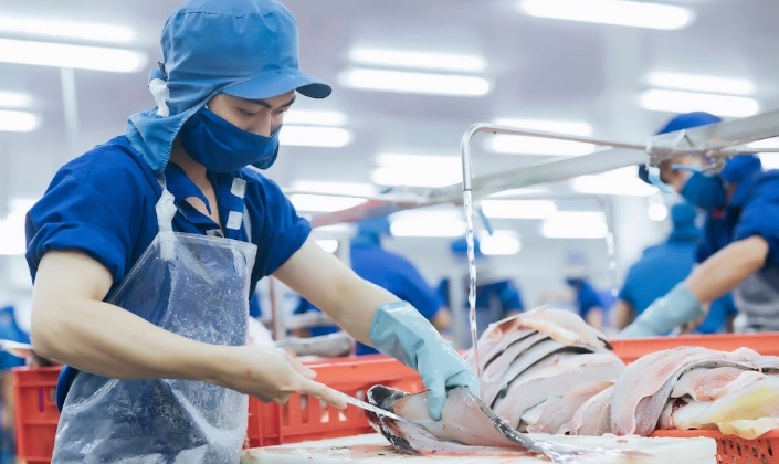 Gỡ “vòng siết kép”, giữ đường xuất khẩu cho thủy sản Việt