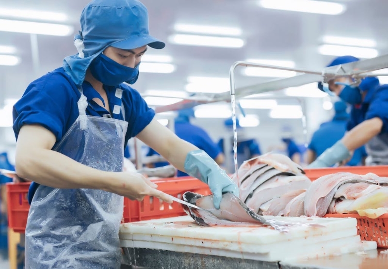 Gỡ “vòng siết kép”, giữ đường xuất khẩu cho thủy sản Việt