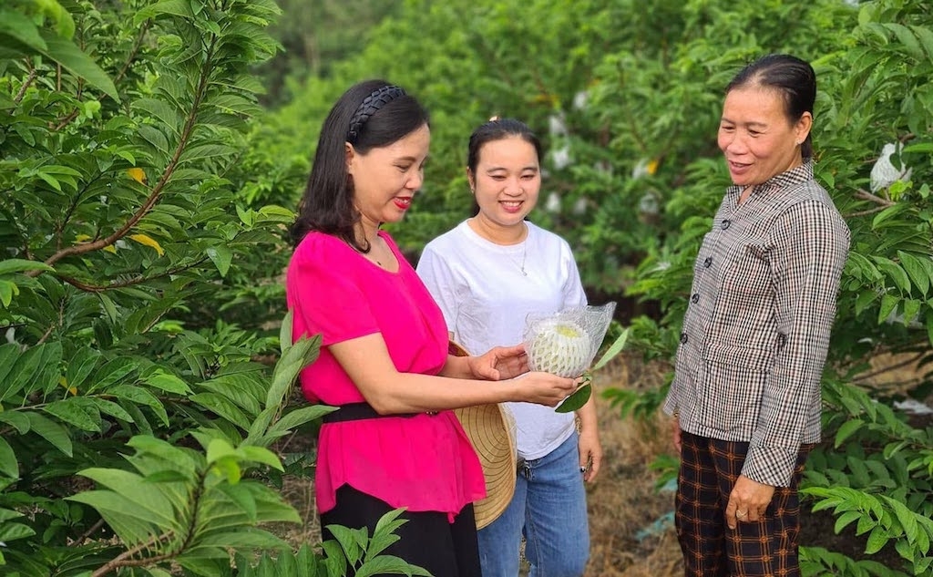 Ứng dụng khoa học công nghệ trong sản xuất giúp các HTX ở Tây Ninh nâng chất lượng nông sản, đồng thời hình thành nền tảng để bảo vệ và khai thác quyền sở hữu trí tuệ.