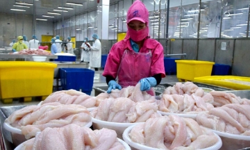 Kết quả POR21 mới được công bố là một diễn biến kém thuận lợi đối với hoạt động xuất khẩu cá tra Việt Nam sang thị trường Mỹ trong thời gian tới.