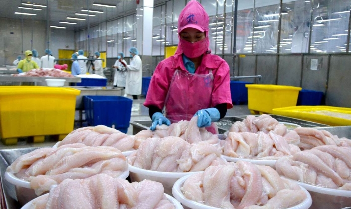 Kết quả POR21 mới được công bố là một diễn biến kém thuận lợi đối với hoạt động xuất khẩu cá tra Việt Nam sang thị trường Mỹ trong thời gian tới.