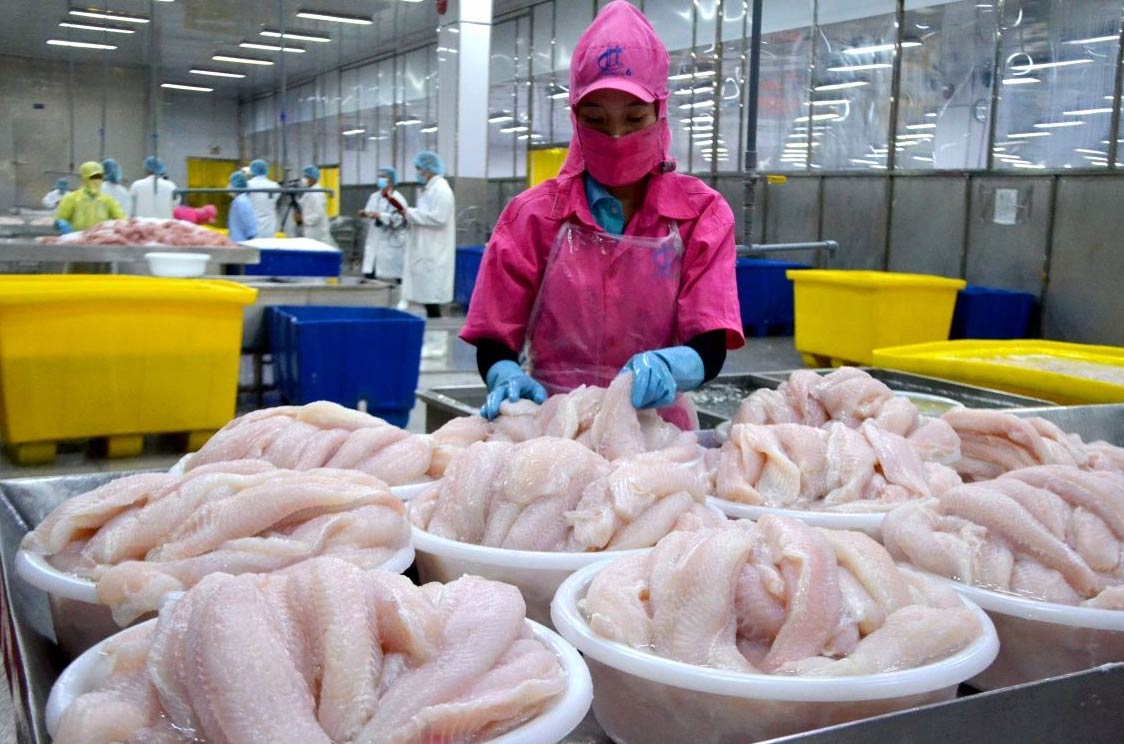 Kết quả POR21 mới được công bố là một diễn biến kém thuận lợi đối với hoạt động xuất khẩu cá tra Việt Nam sang thị trường Mỹ trong thời gian tới.
