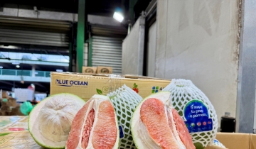 Chuyên gia: Doanh nghiệp cần chuyển từ xuất được hàng sang tham gia chuỗi giá trị Australia