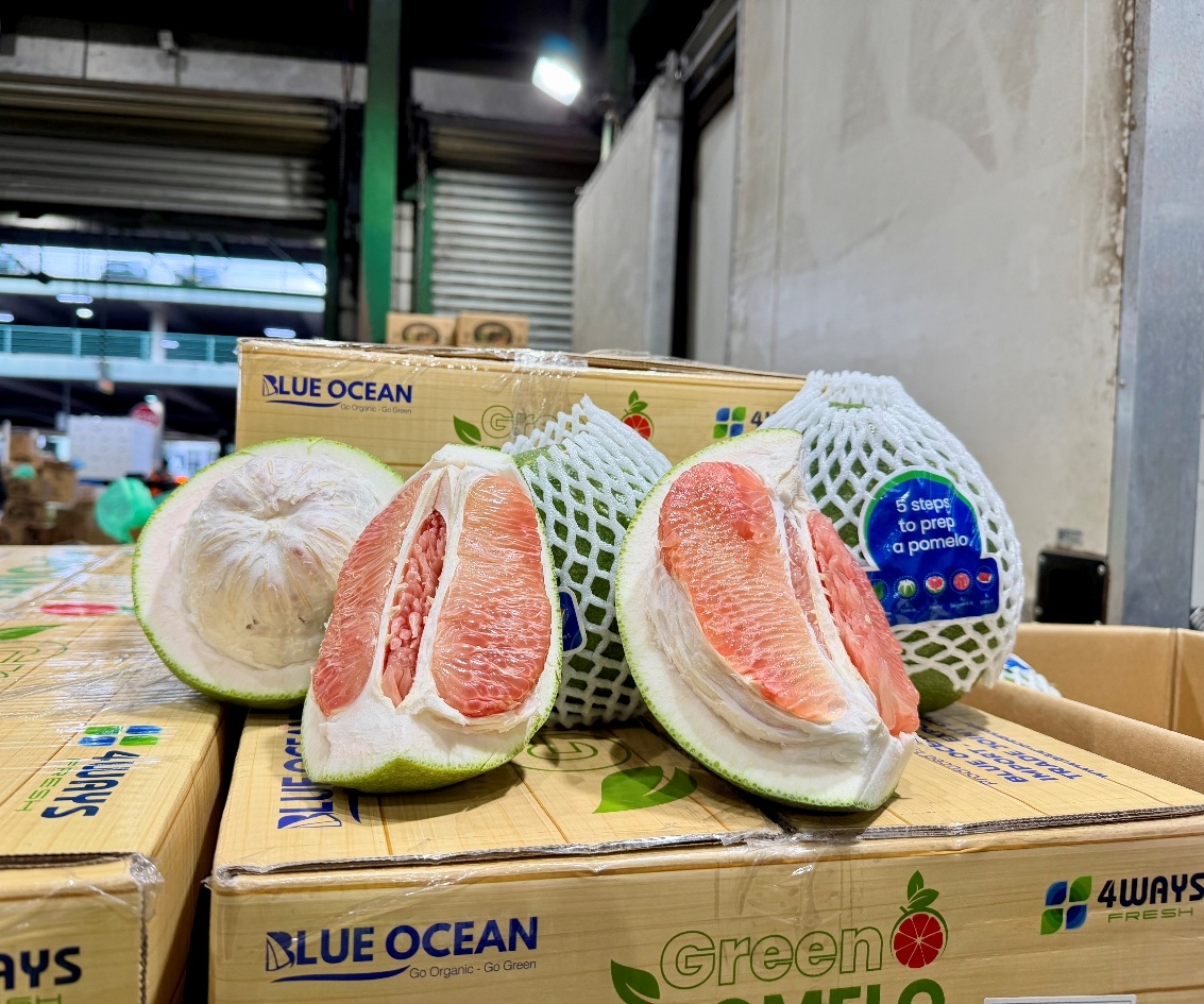 Những trái bưởi Việt Nam lần đầu tiên được bày bán tại Sydney Markets từ tháng 4/2026. Ảnh: Thương vụ Việt Nam tại Úc.
