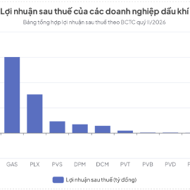 Hệ sinh thái dầu khí vừa trải qua nửa đầu năm 2026 đầy khởi sắc với tổng lợi nhuận của 11 doanh nghiệp niêm yết đạt 23.434 tỷ đồng trong quý II.