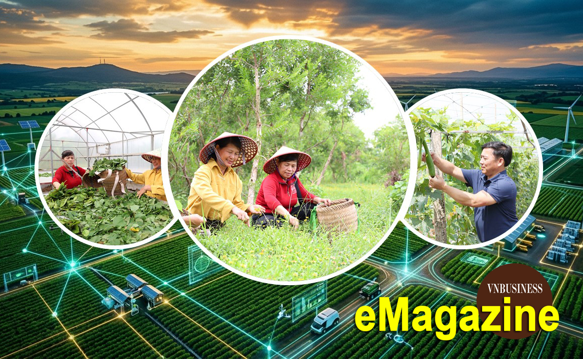 HTX khơi nguồn đổi mới sáng tạo, giúp nông dân 'kiếm bộn tiền'