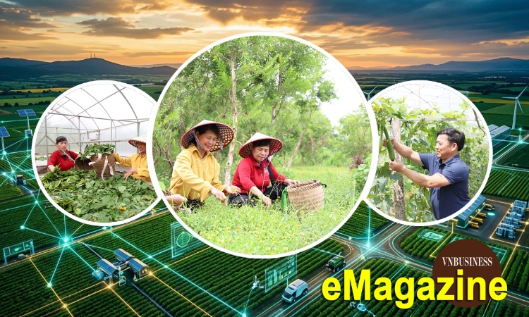 HTX khơi nguồn đổi mới sáng tạo, giúp nông dân kiếm bộn tiền