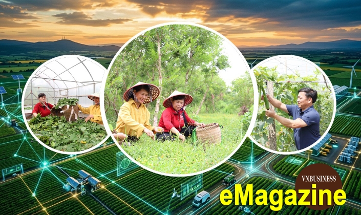 HTX khơi nguồn đổi mới sáng tạo, giúp nông dân kiếm bộn tiền